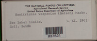 Image Associated With the Occurence